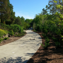 Blower-truck-mulch-2