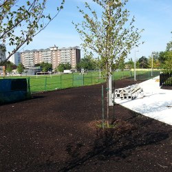 top-dressing-banner