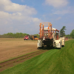 Picture2 sod website